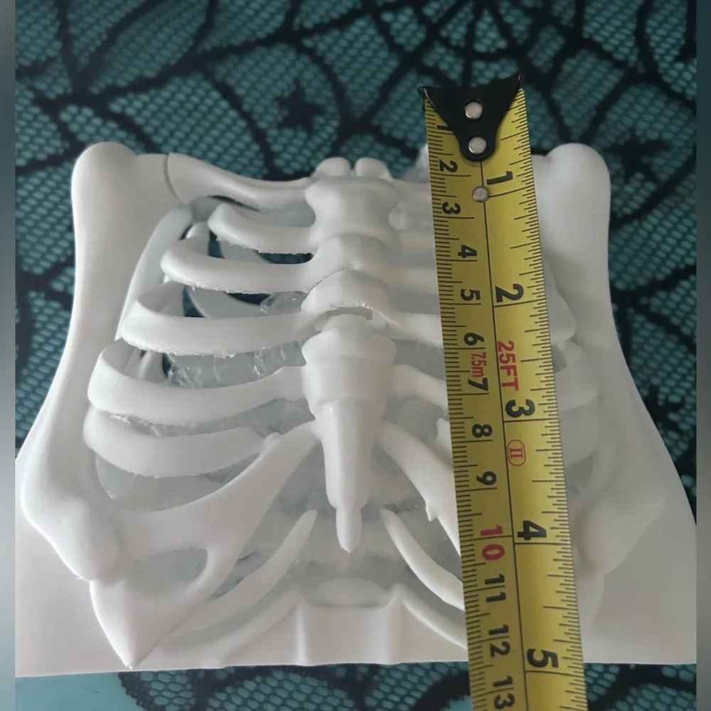 Skeleton Ribcage Handbag - Picture 5 of 5
